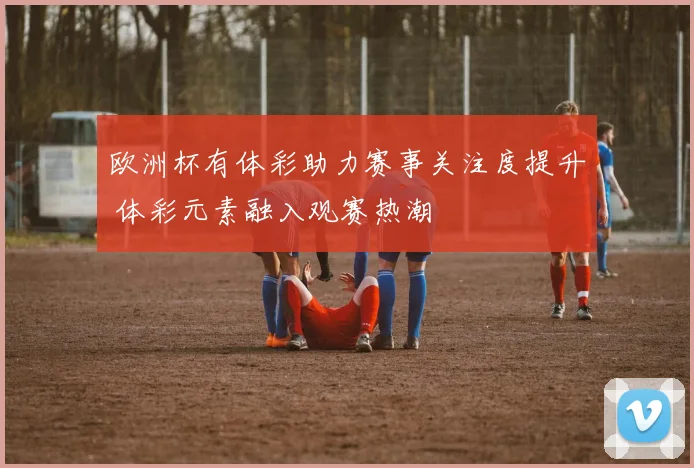 欧洲杯有体彩助力赛事关注度提升 体彩元素融入观赛热潮