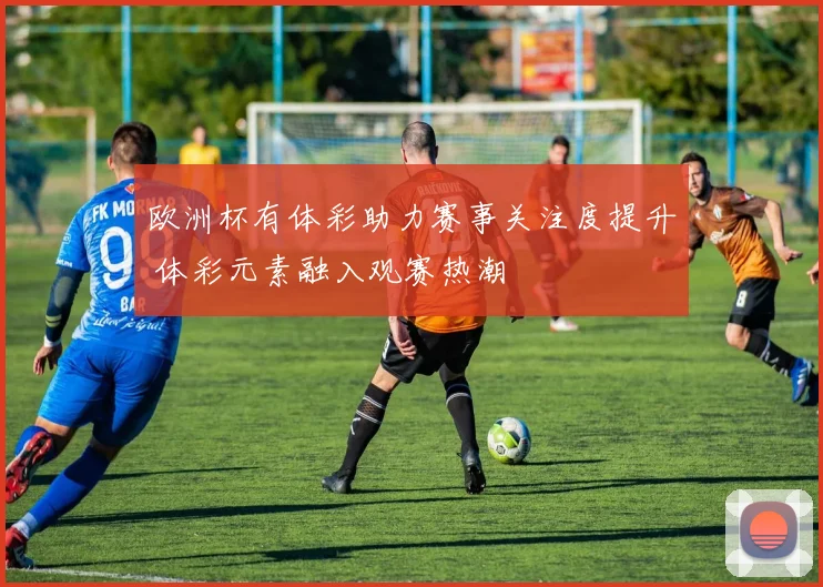 欧洲杯有体彩助力赛事关注度提升 体彩元素融入观赛热潮