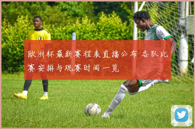 欧洲杯最新赛程表直播公布 各队比赛安排与观赛时间一览