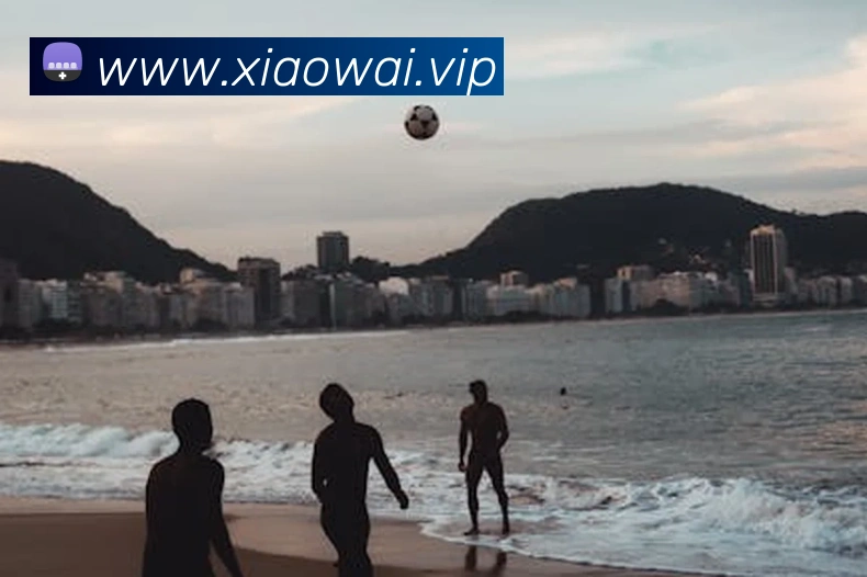 kaiyun官方登录入口平台生态图