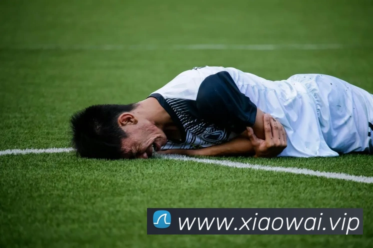 kaiyun官方登录入口全站App